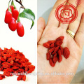 Goji Gourmet Dired Gojiberry Organic Chinese Wolfberry